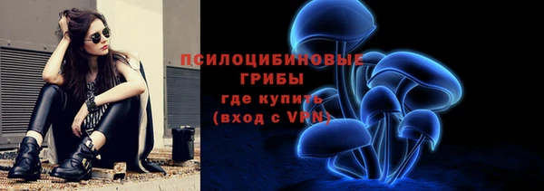 PSILOCYBIN Бугульма