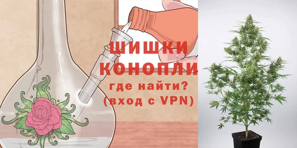 PSILOCYBIN Бугульма